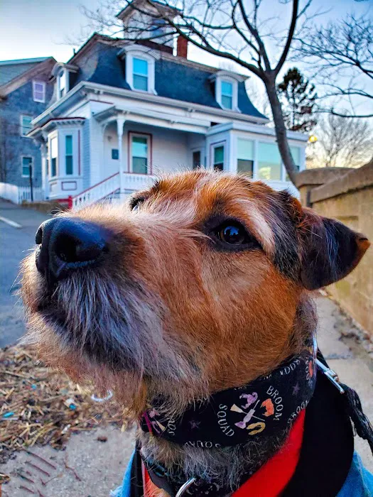 Danvers Animal Hospital 5