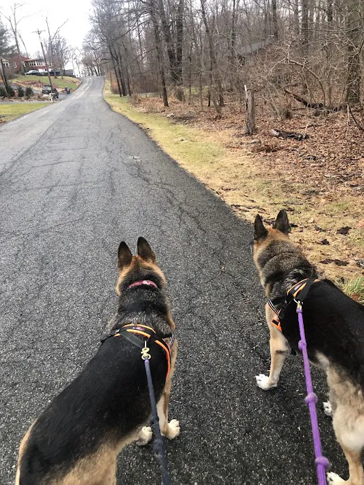 Danvers Animal Hospital 4