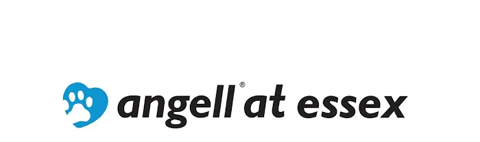 Angell at Essex 10