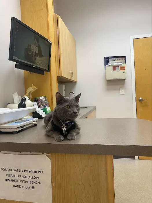 Northeast Veterinary Hospital 1