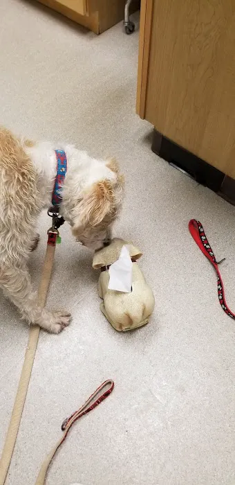 Northeast Veterinary Hospital 3