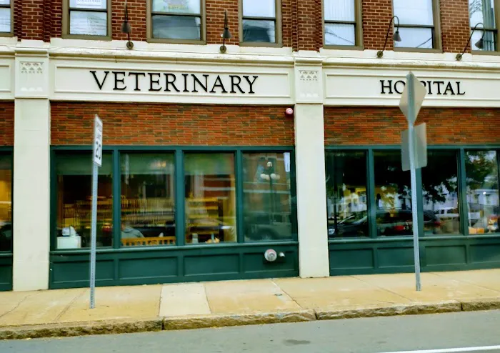 Northeast Veterinary Hospital 4