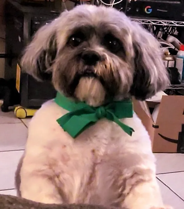 Northeast Veterinary Hospital 8