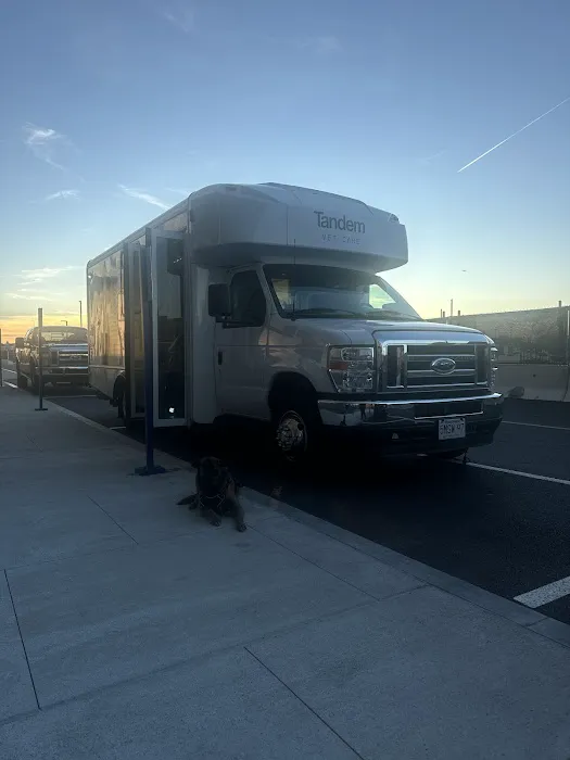 Tandem East Boston, Quincy Onsite Veterinary 1
