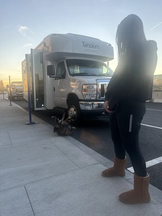 Tandem East Boston, Quincy Onsite Veterinary 7