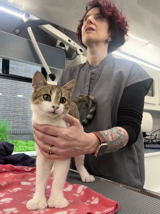 Tandem East Boston, Quincy Onsite Veterinary 8