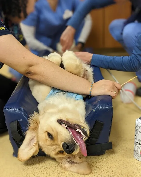 Boston Animal Hospital North Station 5