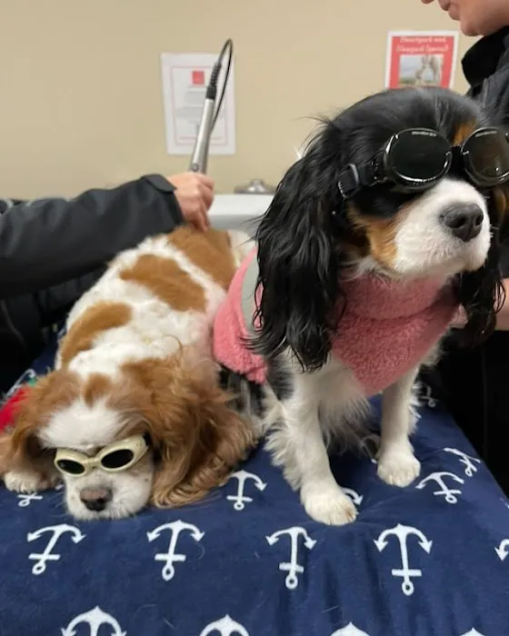 Boston Animal Hospital North Station 10