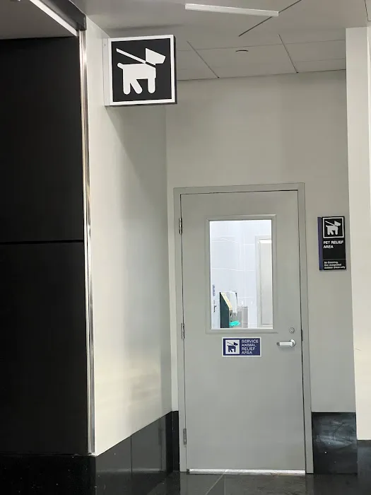 Animal Relief Area 2