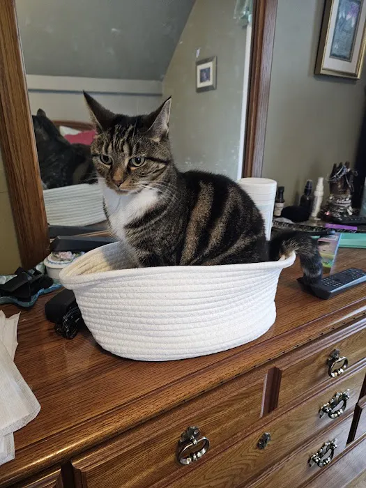 Norwell Veterinary Hospital 1