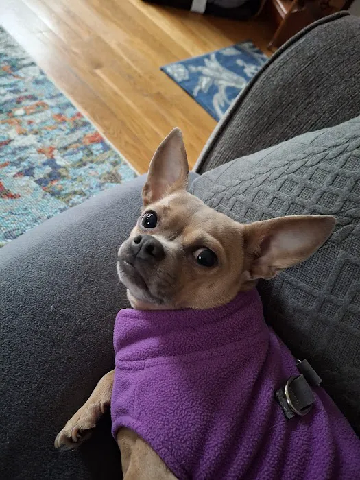 Hingham Animal Clinic 2
