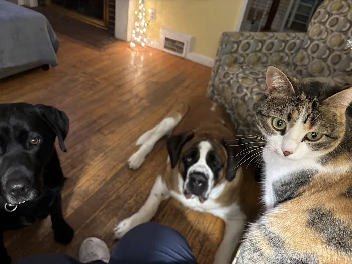 Hingham Animal Clinic 5