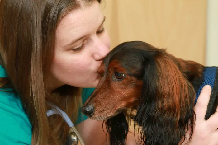 Hingham Animal Clinic 8