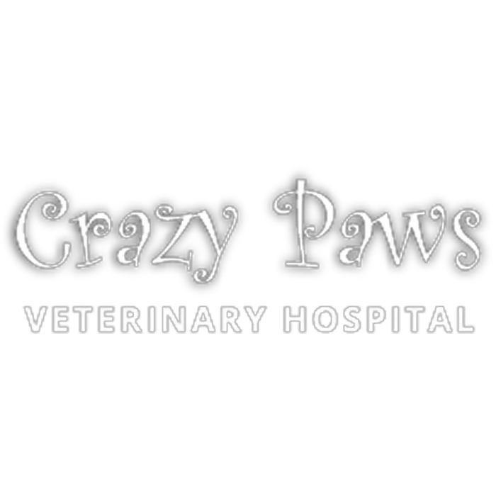 Crazy Paws Veterinary Hospital 1