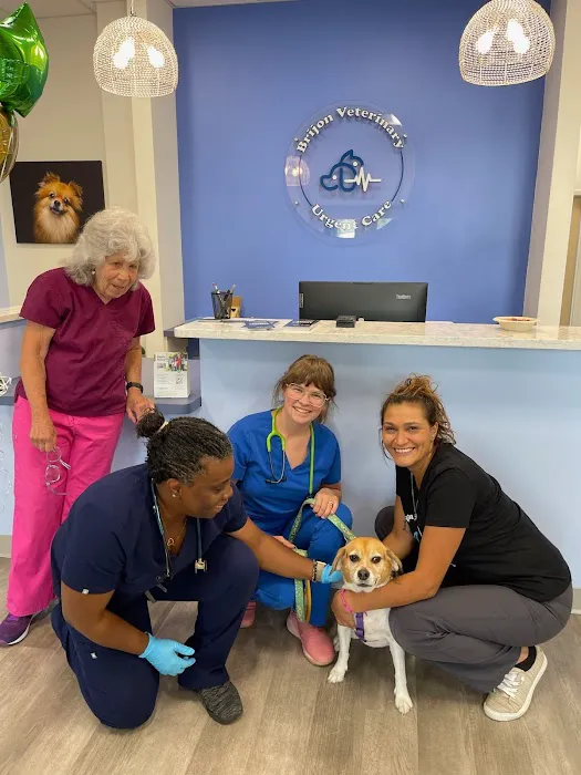 Brijon Veterinary Urgent Care : Hanover, Massachusetts 3