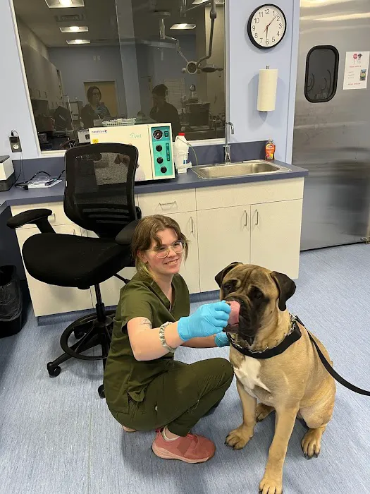Brijon Veterinary Urgent Care : Hanover, Massachusetts 8