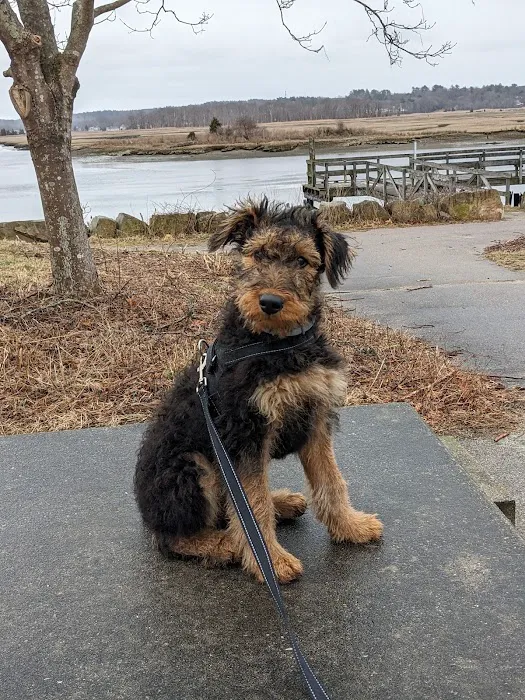 Marshfield Animal Hospital 1