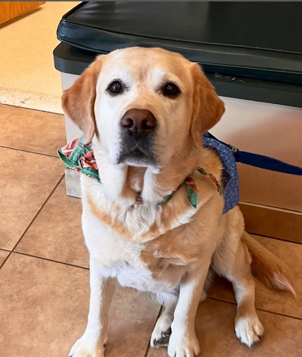 Marshfield Animal Hospital 3