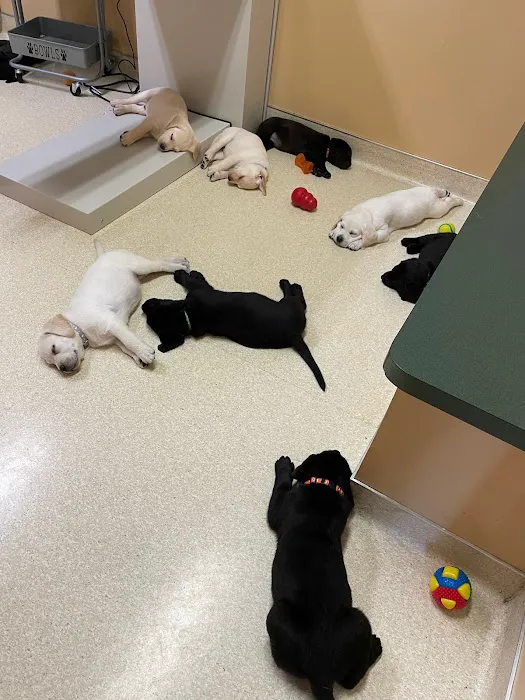 Marshfield Animal Hospital 8