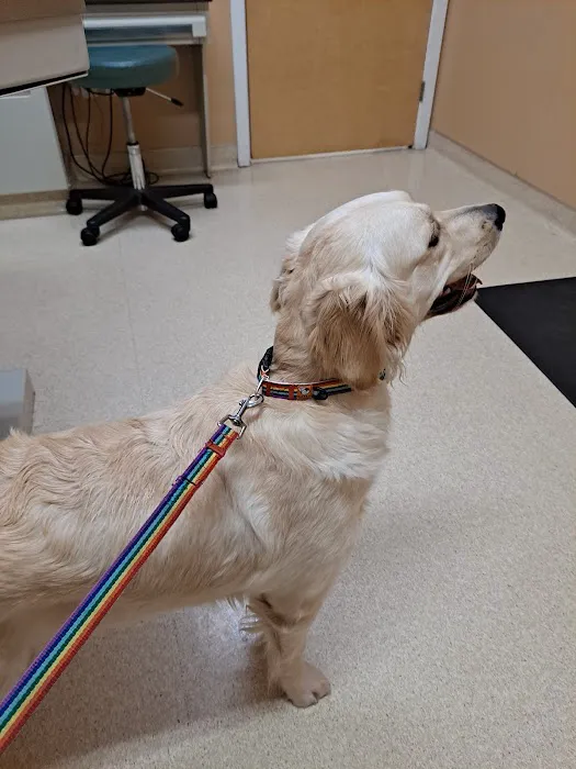 Marshfield Animal Hospital 10