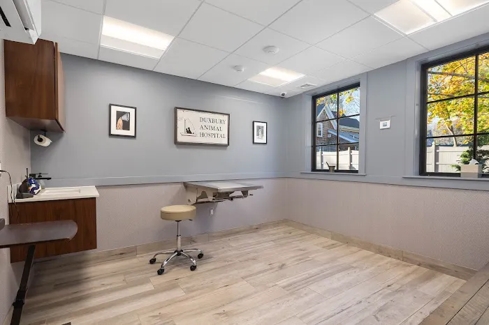 Duxbury Animal Hospital 1