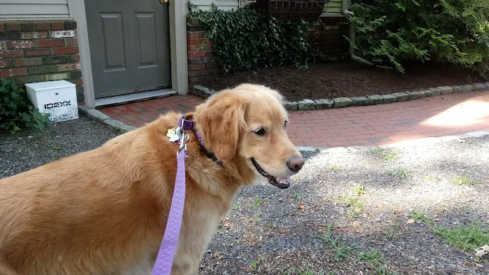 Duxbury Animal Hospital 6