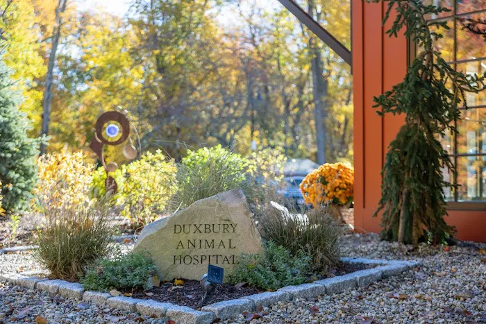 Duxbury Animal Hospital 7