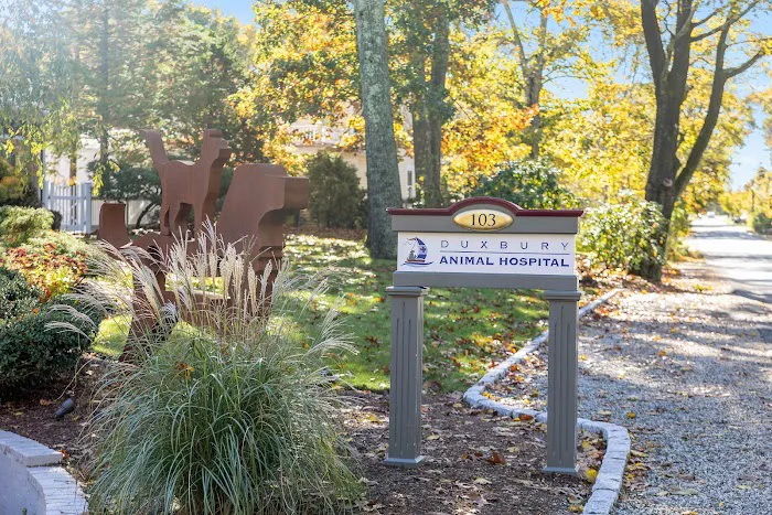Duxbury Animal Hospital 9