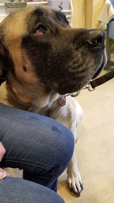 Duxbury Animal Hospital 8