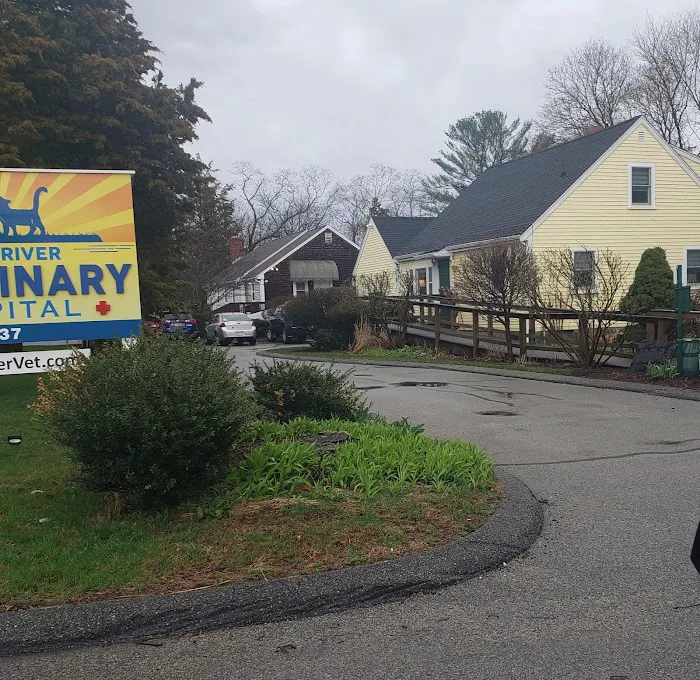 South River Veterinary Hospital & Service 2