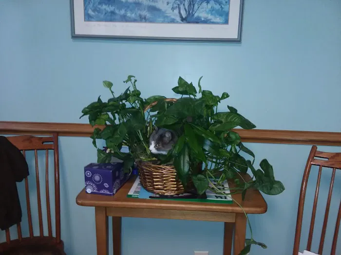 Cayuga Pet Hospital 9