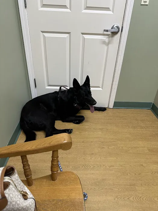 VCA Colonial Animal Hospital 6