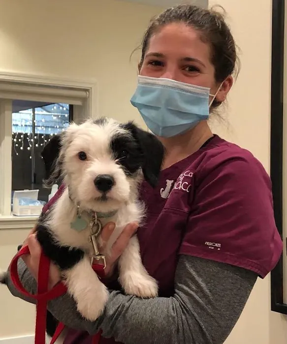 Veterinary Care of Ithaca 3