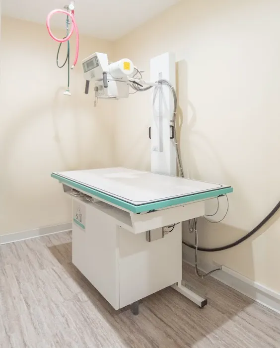 Veterinary Care of Ithaca 2