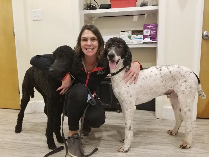 Veterinary Care of Ithaca 5