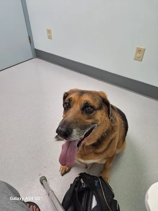Groton City Animal Hospital 1