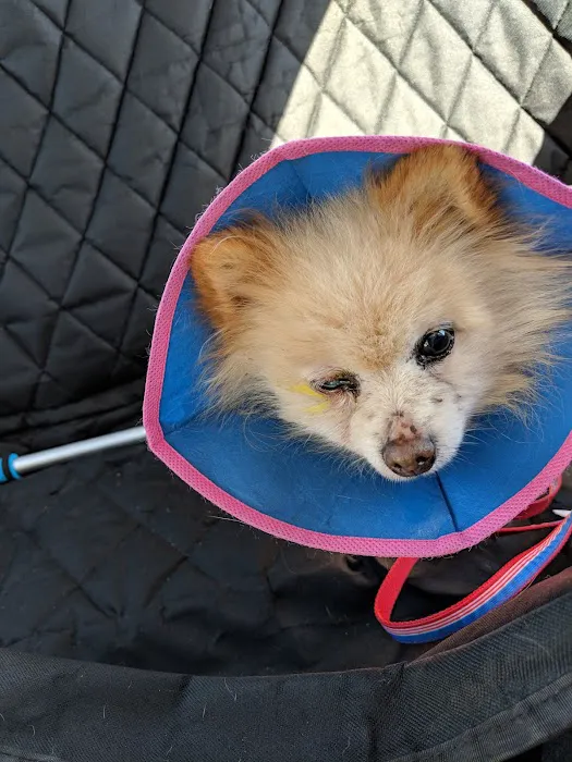 Groton City Animal Hospital 9