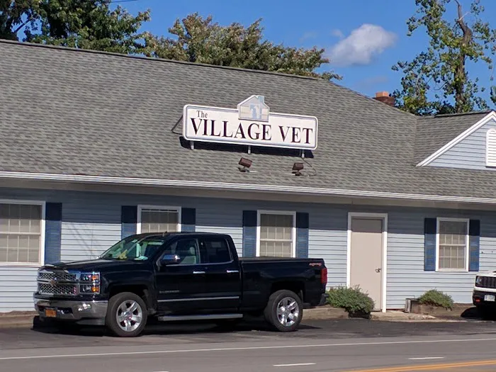The Village Vet 9
