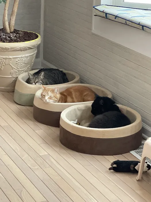 Banfield Pet Hospital 6