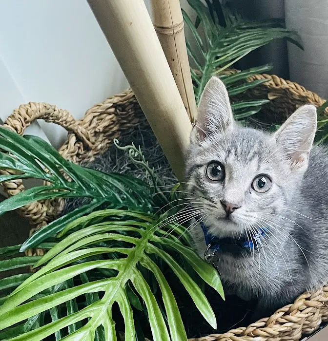 Banfield Pet Hospital 5