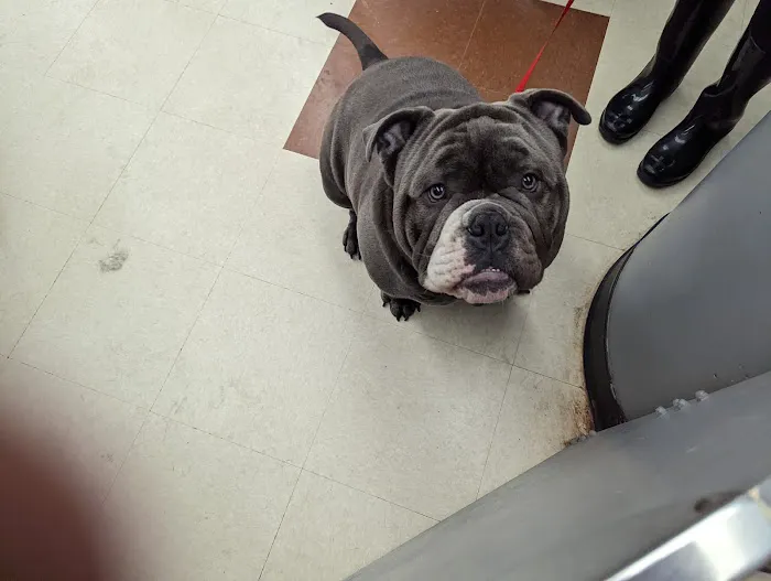 Banfield Pet Hospital 7