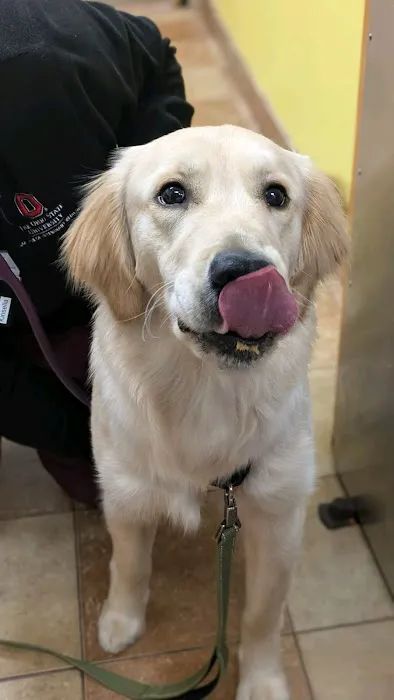 Banfield Pet Hospital 9