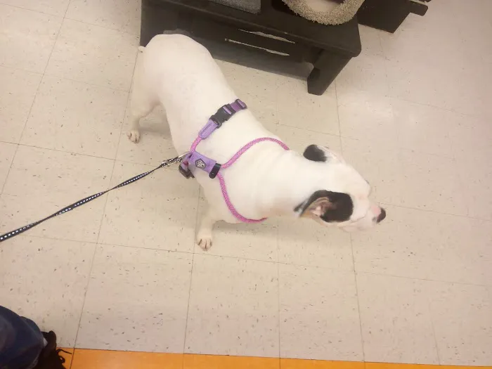 Banfield Pet Hospital 8