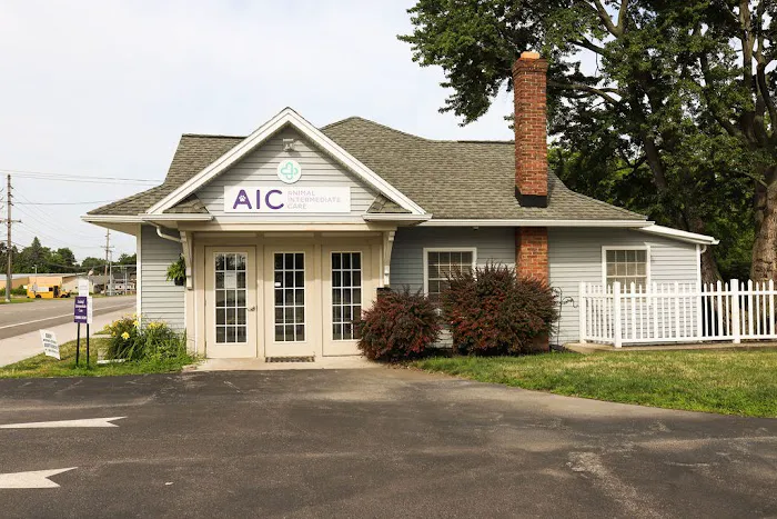 Animal Intermediate Care 2