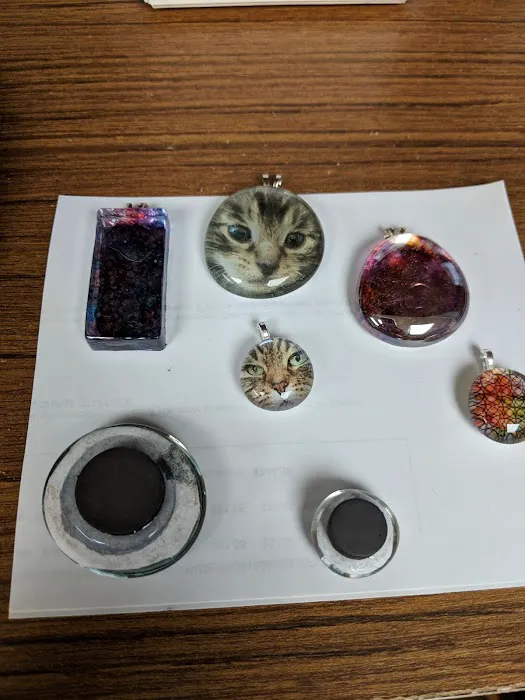 All Cats Care Center 8