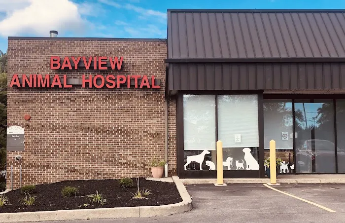 Bayview Animal Hospital 6