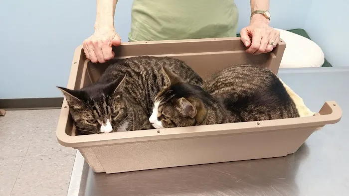 Bayview Animal Hospital 10