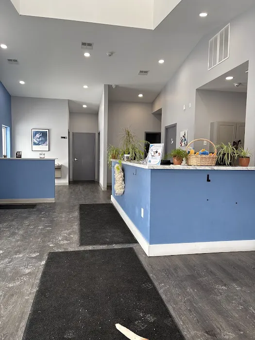 Laurelton Bayside Animal Hospital 5