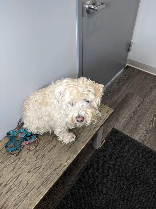 Laurelton Bayside Animal Hospital 6