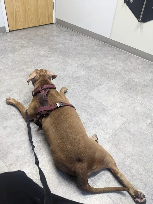 Penfield Veterinary Hospital 3